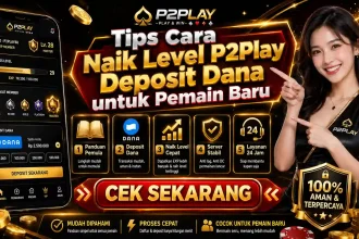 Chaindrivediff - Panduan lengkap mengenai tips cara naik level p2play deposit dana untuk pemain baru agar akun cepat VIP.